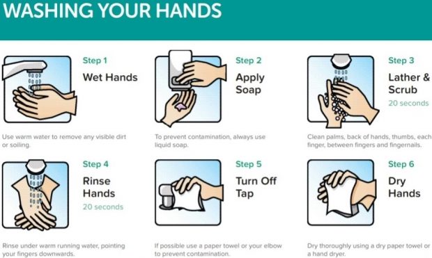 wash your hands (2)