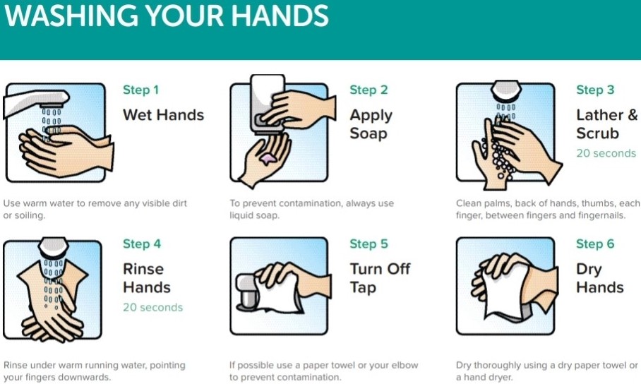 wash your hands (2)